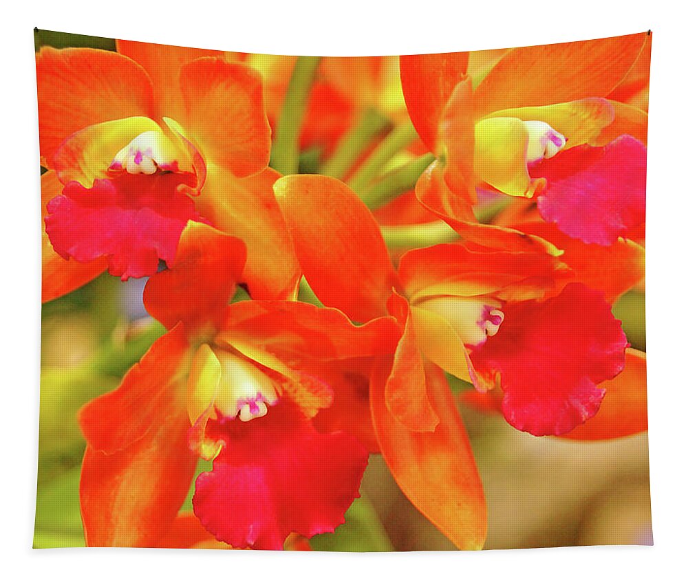 Orchids Tapestry featuring the photograph Orange Cattleya Orchid by Debbie Oppermann