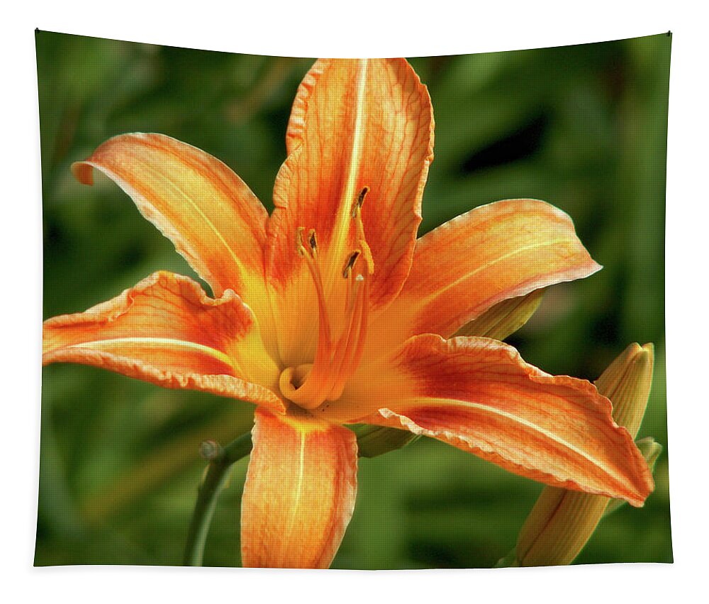 Lily Tapestry featuring the photograph Orange Delight by Lisa Blake
