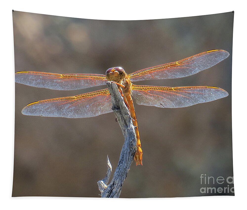 Nature Tapestry featuring the photograph Dragonfly 3 by Christy Garavetto