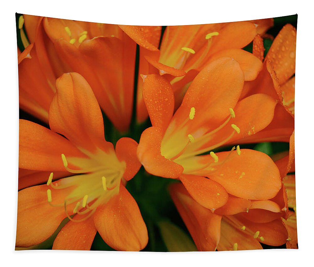 Orange Tapestry featuring the photograph Orange Lilies No. 1-1 by Sandy Taylor
