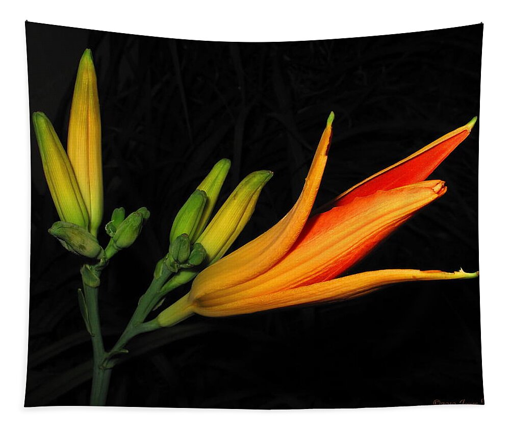 Lily Tapestry featuring the photograph Orange Lily by Joyce Dickens