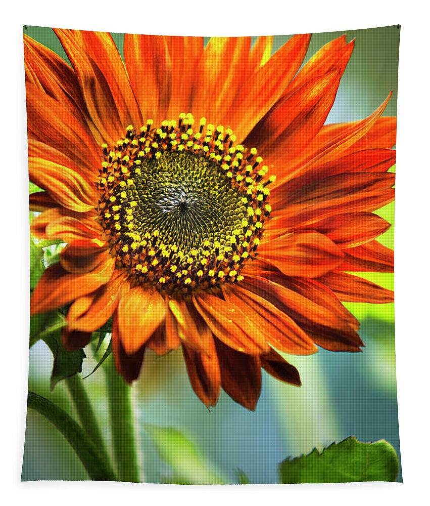 Sunflower Tapestry featuring the photograph Orange Sunflower by Christina Rollo