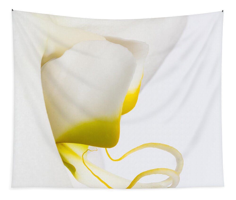 Orchid Tapestry featuring the photograph Orchid 2 by Patricia Schaefer
