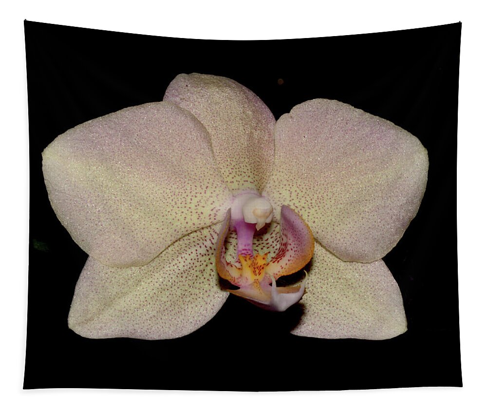 Nature Tapestry featuring the photograph Orchid 2016 2 by Robert Morin