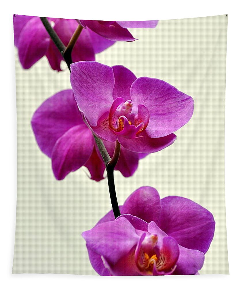 Orchid Tapestry featuring the photograph Orchid 26 by Marty Koch