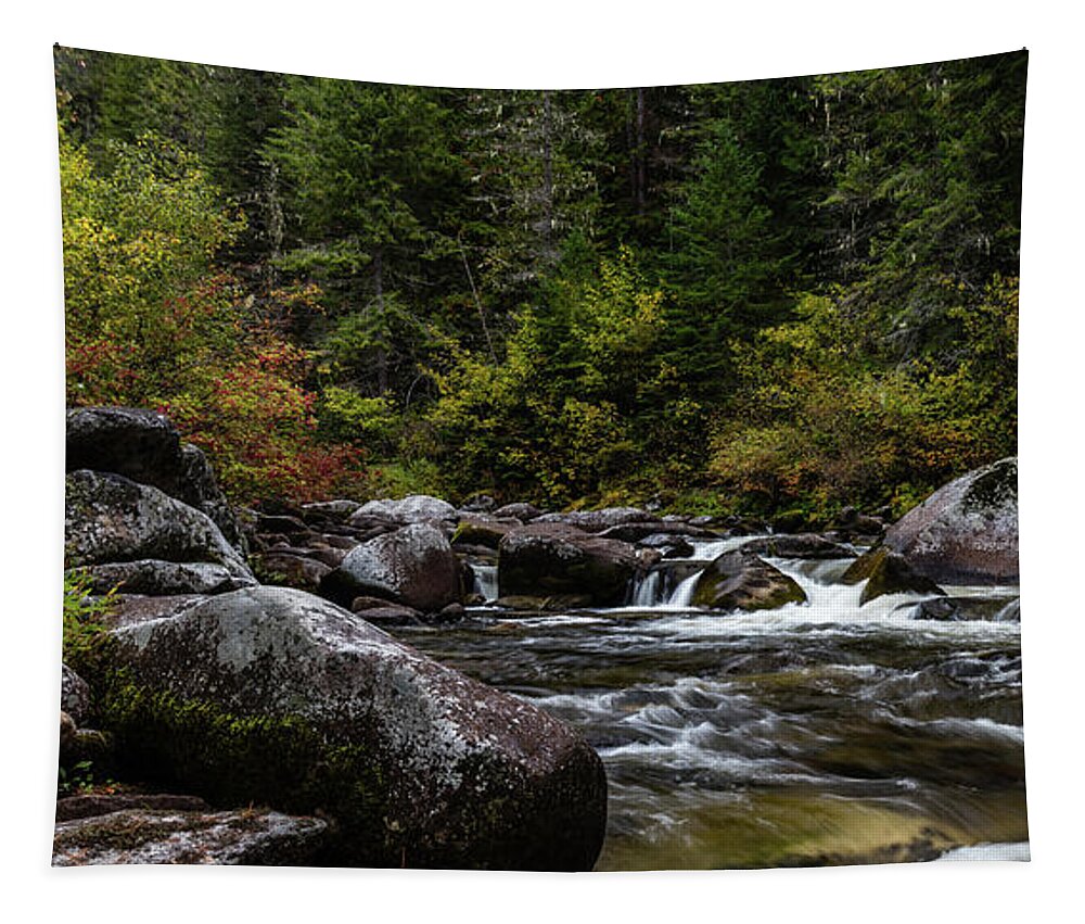 Nature Tapestry featuring the photograph Oregon Art by Gary Migues