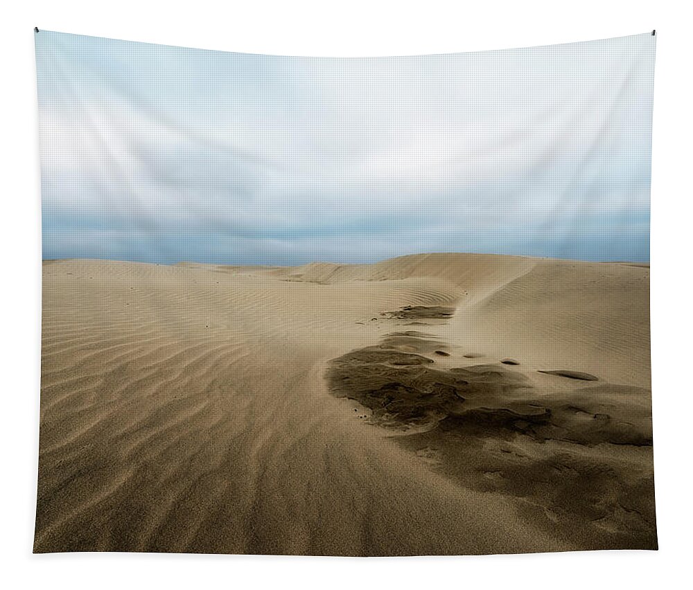 Beach Tapestry featuring the photograph Oregon Dune Wasteland 1 by Ryan Manuel