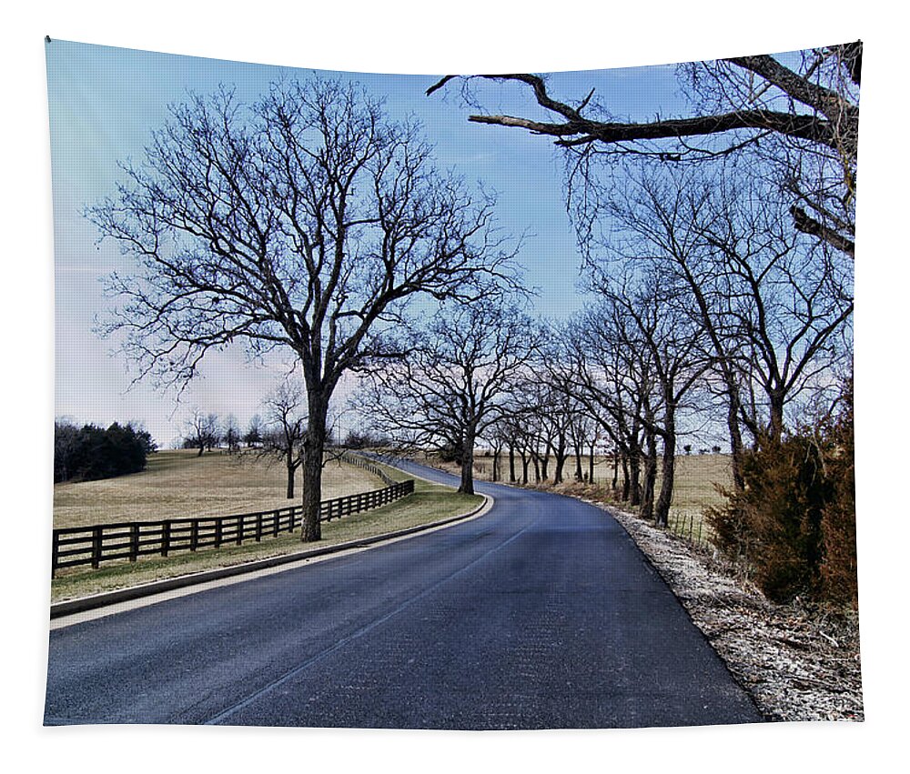 osage County Road Tapestry featuring the photograph Osage County Road by Cricket Hackmann