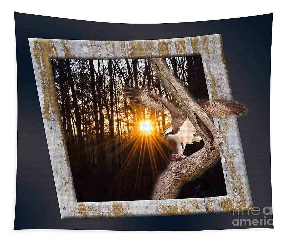 Bird Tapestry featuring the photograph Osprey At Sunset by Donna Brown