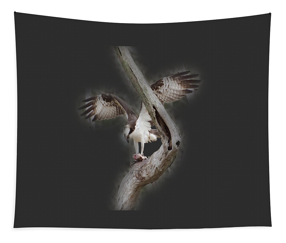 Bird Tapestry featuring the photograph Osprey Tee-shirt by Donna Brown