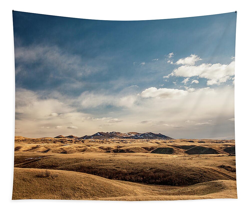 Rolling Hills Tapestry featuring the photograph Out of This Worldly by Todd Klassy