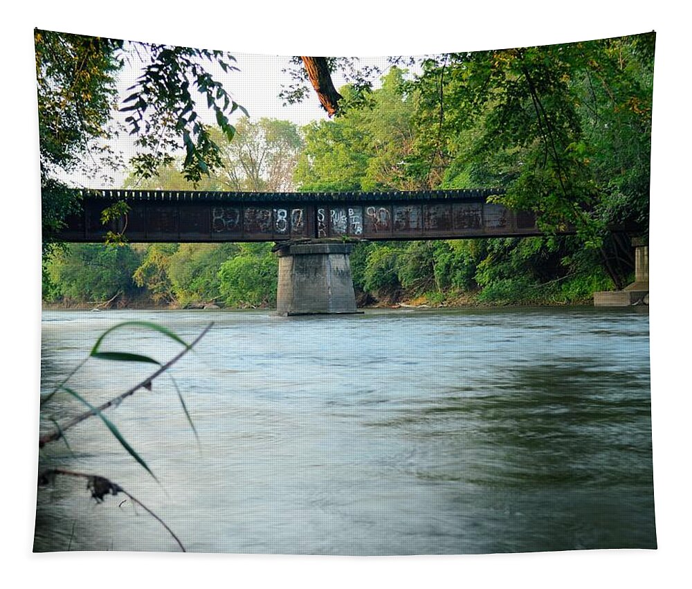 Steamboat Rock Tapestry featuring the photograph Over The Iowa by Bonfire Photography