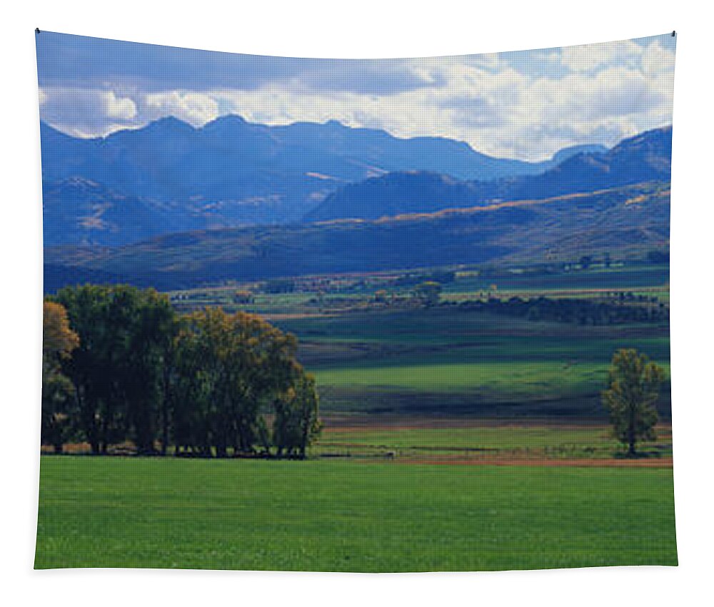 Photography Tapestry featuring the photograph Owl Pass Uncompahgre National Forest Co by Panoramic Images