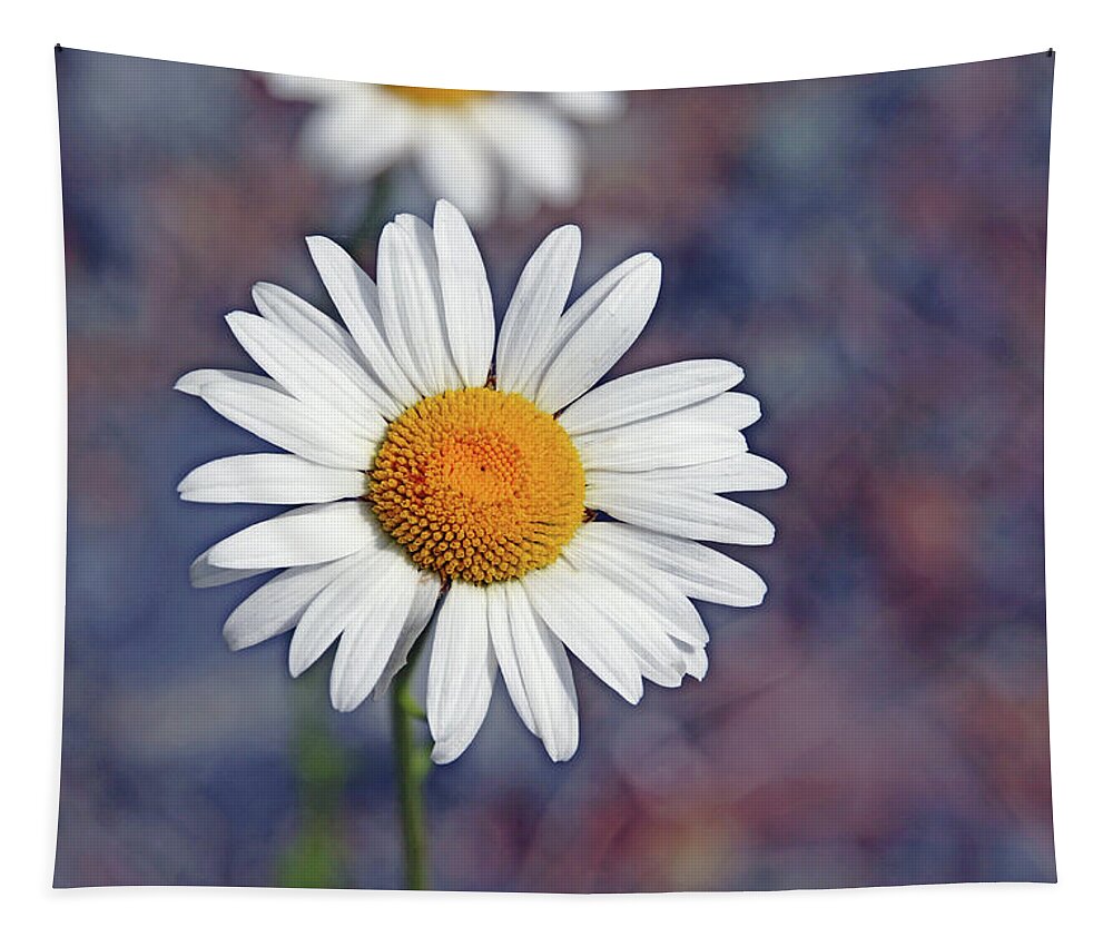 Daisy Tapestry featuring the photograph Oxeye Daisy by Debbie Oppermann