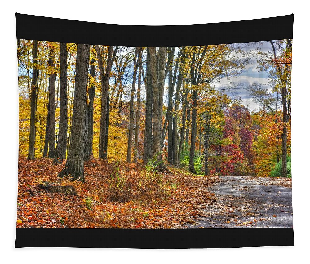 Pennsylvania Tapestry featuring the photograph PA Country Roads - Autumn Colorfest No. 3 - Fire in the Woods - Northumberland County by Michael Mazaika