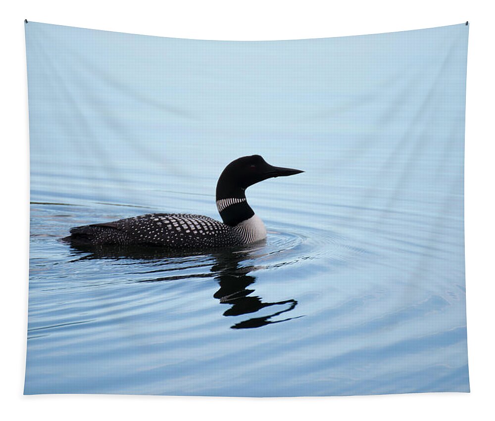 Loon Tapestry featuring the photograph Pacific diver Gavia pacifica by Robert Braley