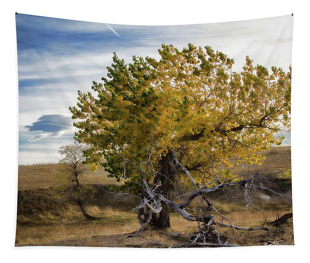 Tree Tapestry featuring the photograph Painted by Nature by Alana Thrower