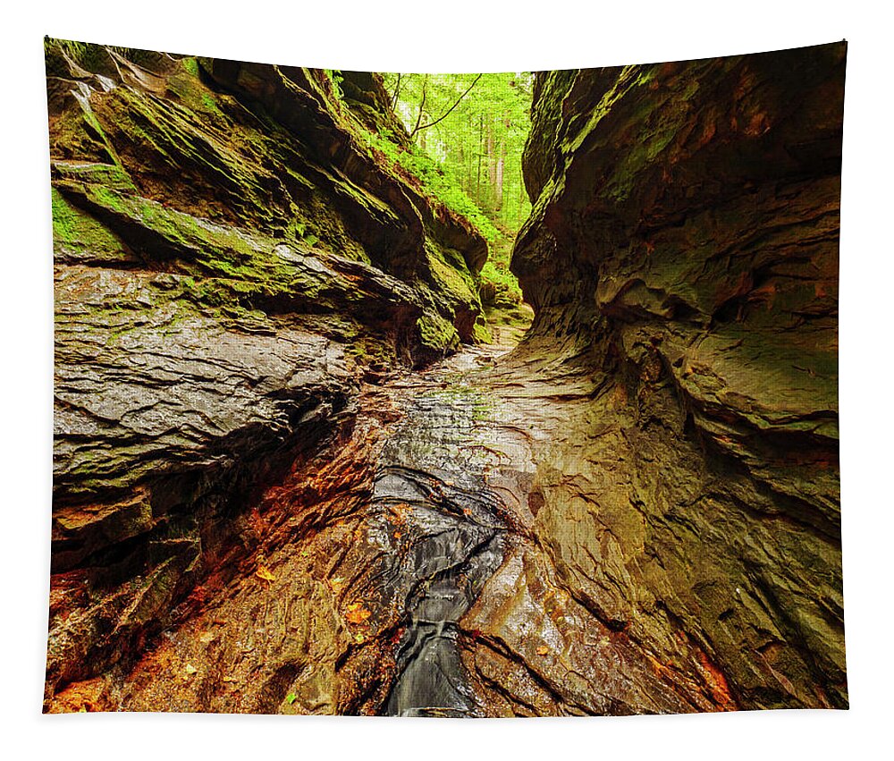 Indiana Tapestry featuring the photograph Painted Canyon by Todd Bannor