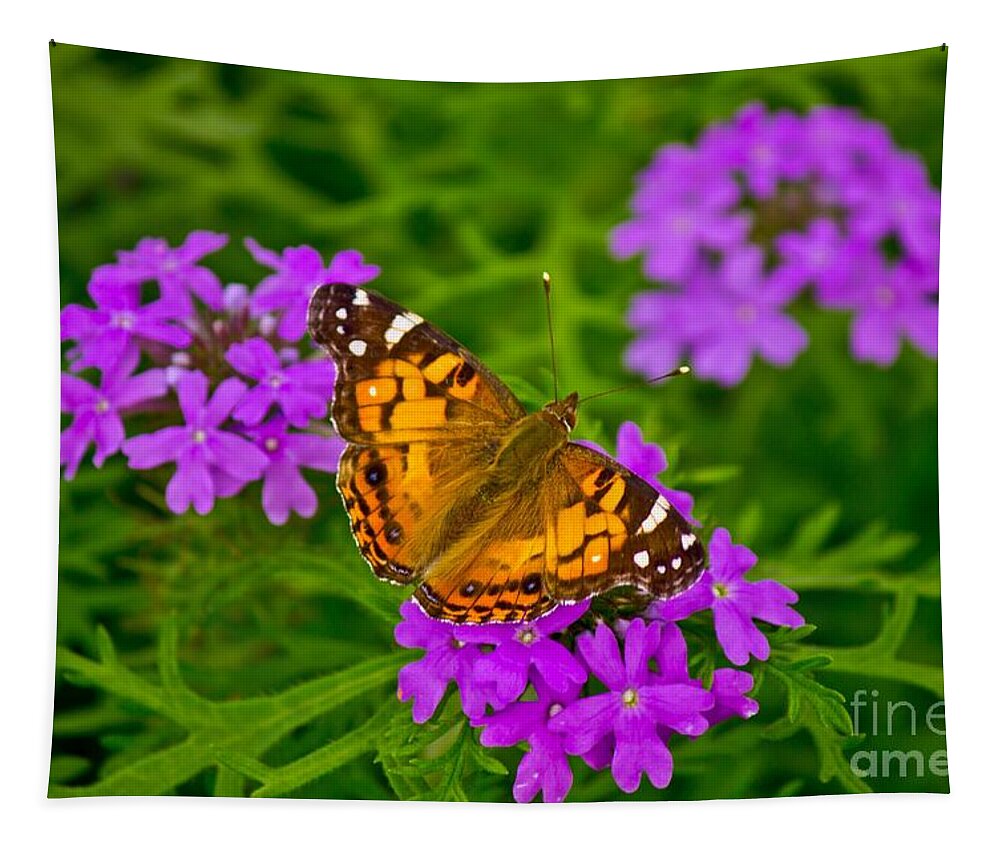 Michael Tidwell Photography Tapestry featuring the photograph Painted Lady on Purple Verbena by Michael Tidwell