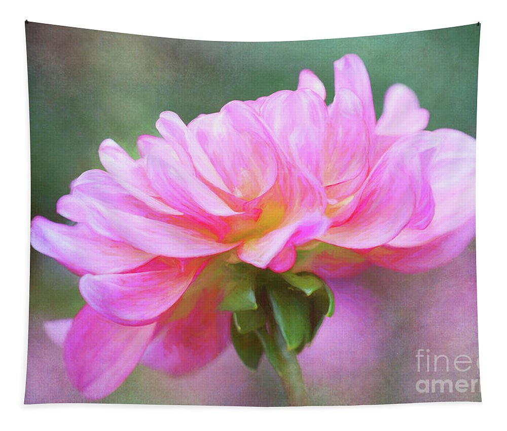 Dahlia Tapestry featuring the photograph Painted Pink Dahlia by Anita Pollak