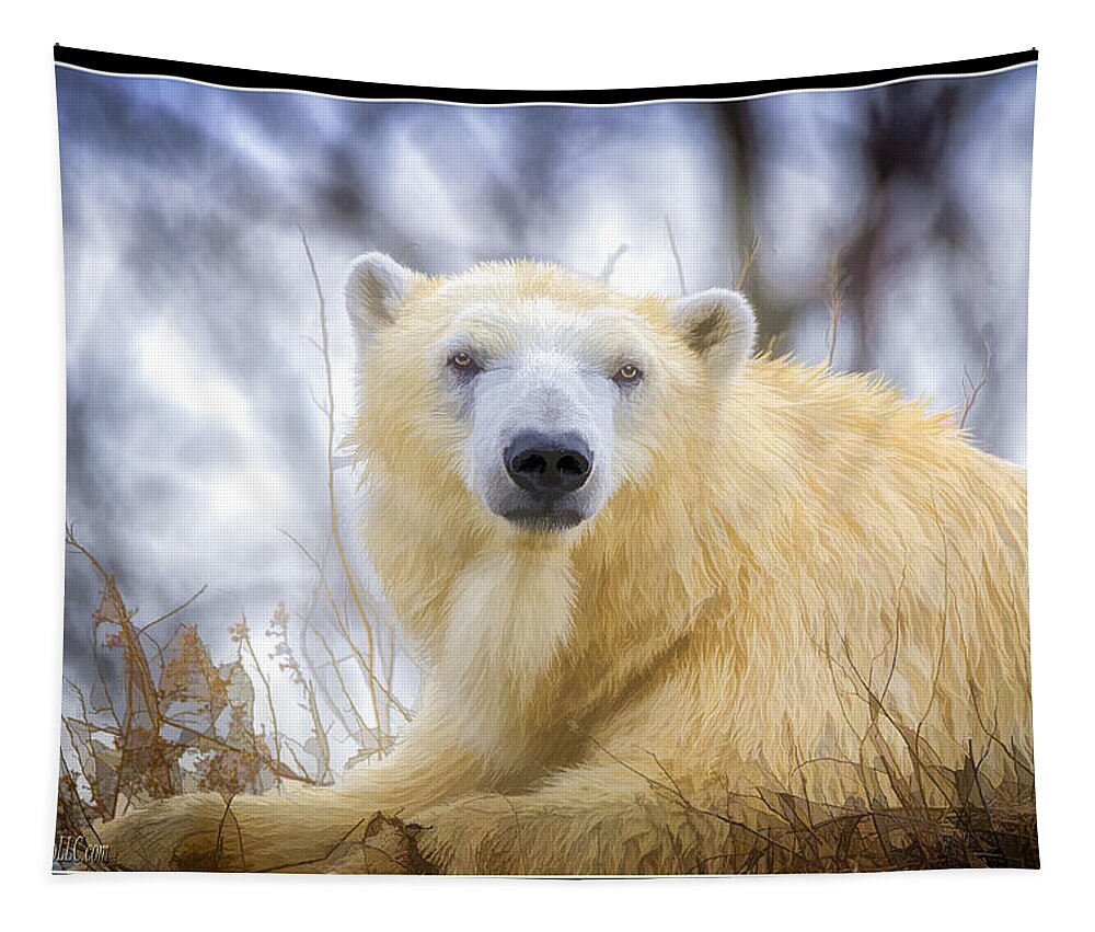 Polar Bear Tapestry featuring the photograph Painted Polar Bear by LeeAnn McLaneGoetz McLaneGoetzStudioLLCcom