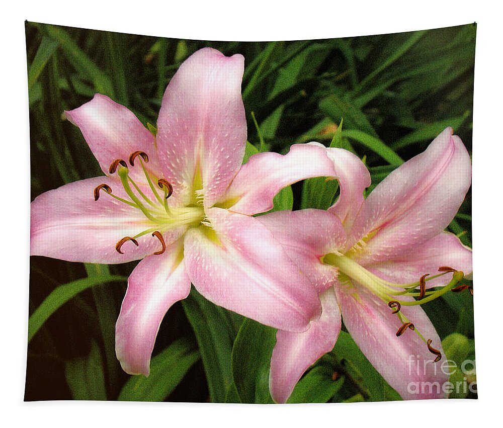 Lily Tapestry featuring the photograph Pale Pink Beauties by Sue Melvin