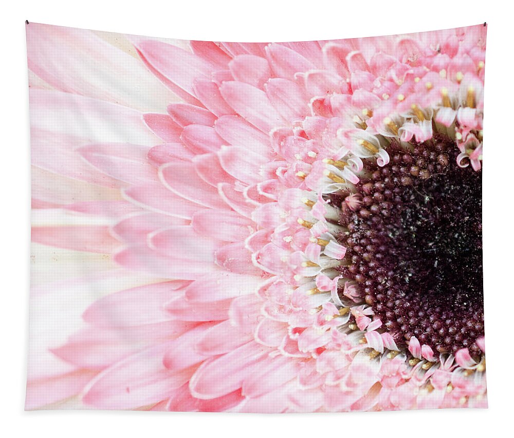 Pink Tapestry featuring the photograph Pale Pink Gerbera Daisy by Lisa Blake