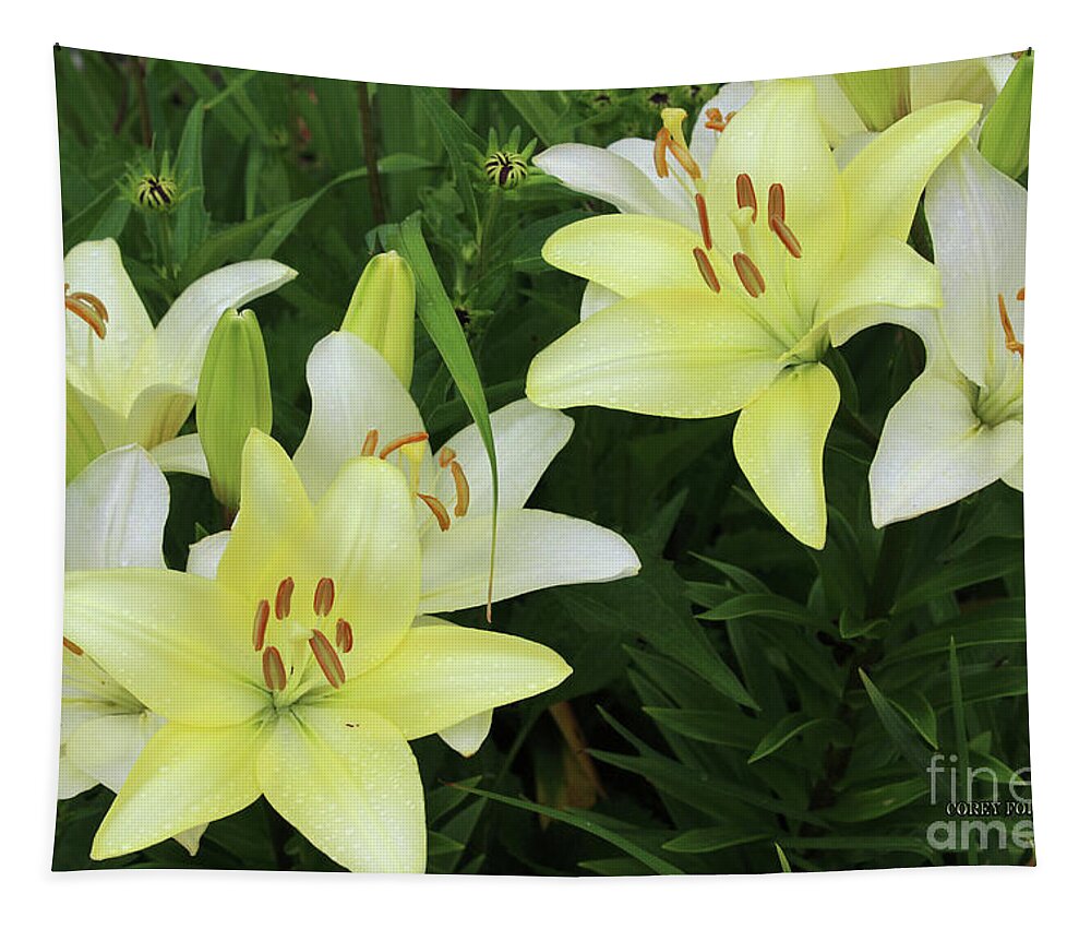 Flower Pictures Tapestry featuring the painting Pale Yellow Daylily Flowers by Corey Ford