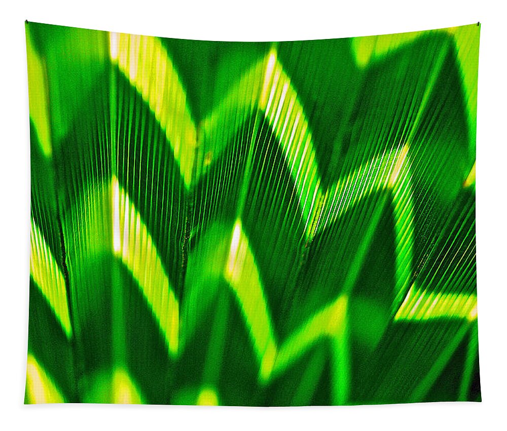 Palm Leaf Tapestry featuring the photograph Palm Abstract by Michael Cinnamond