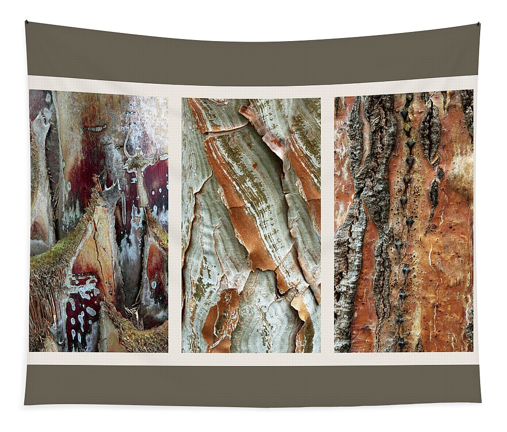 Bark Tapestry featuring the photograph Palm Tree Bark Triptych by Jessica Jenney