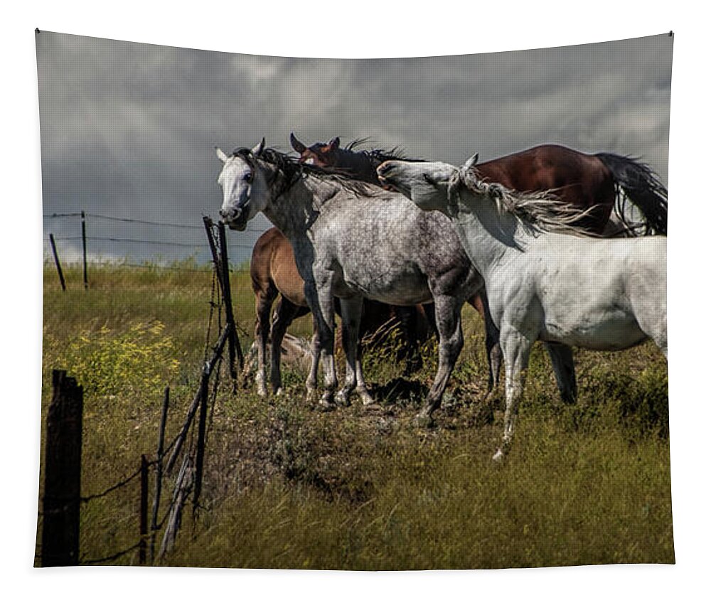 Horse Tapestry featuring the photograph Panorama of Western Horses by the Pasture Fence by Randall Nyhof