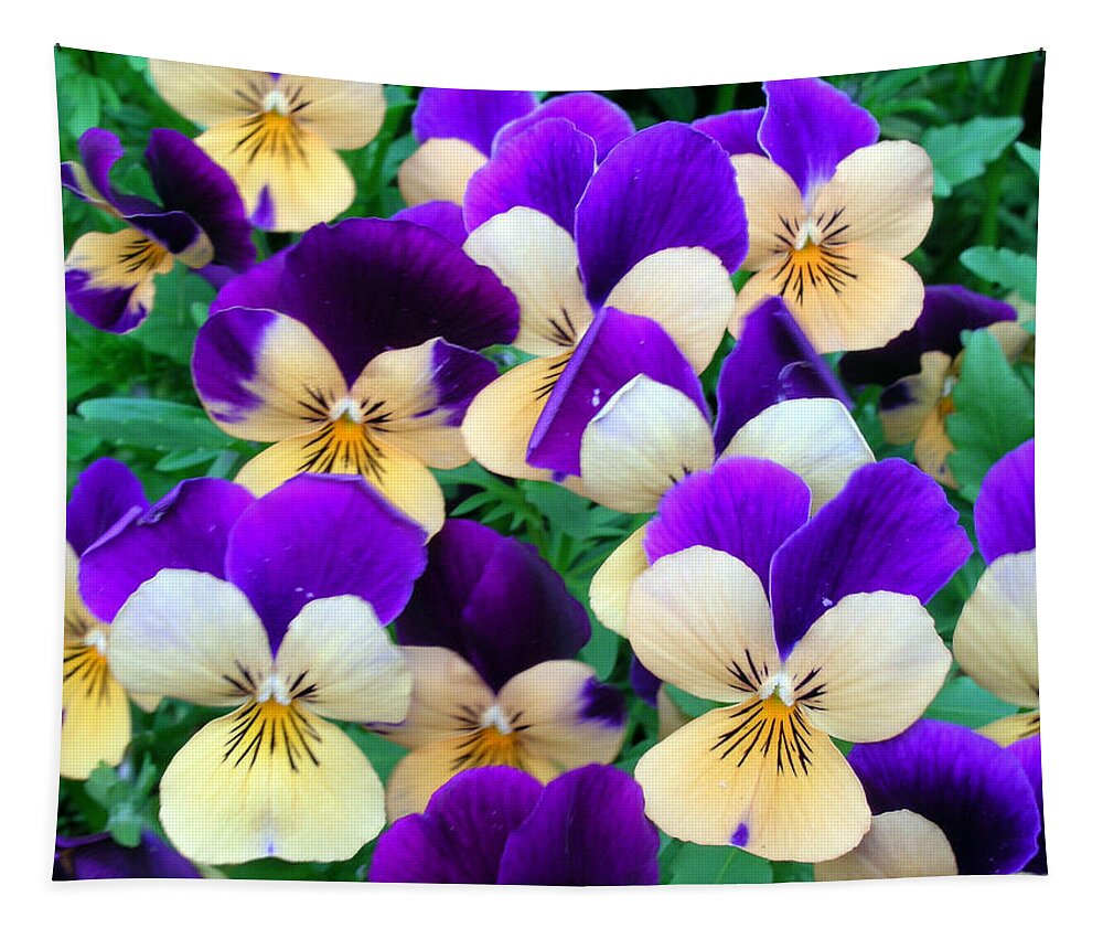 Pansies Tapestry featuring the photograph Pansies by Sandy Taylor