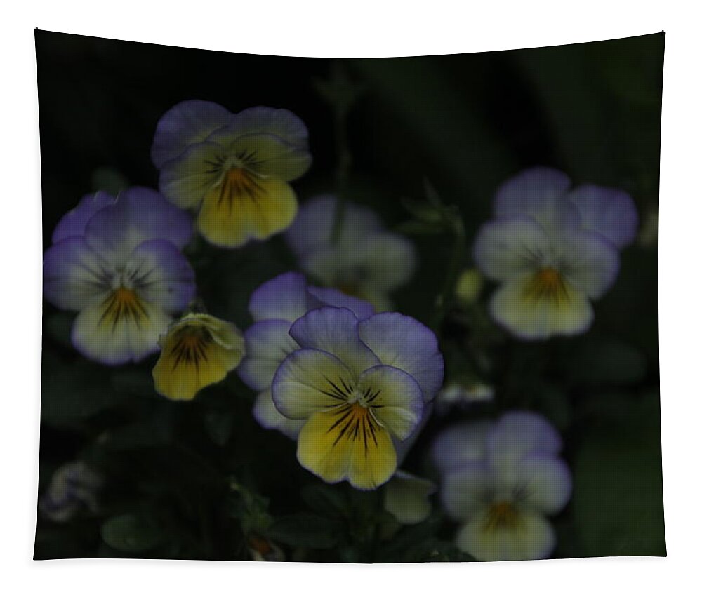 Pansies Tapestry featuring the photograph Pansy Flower Bouquet by Valerie Collins