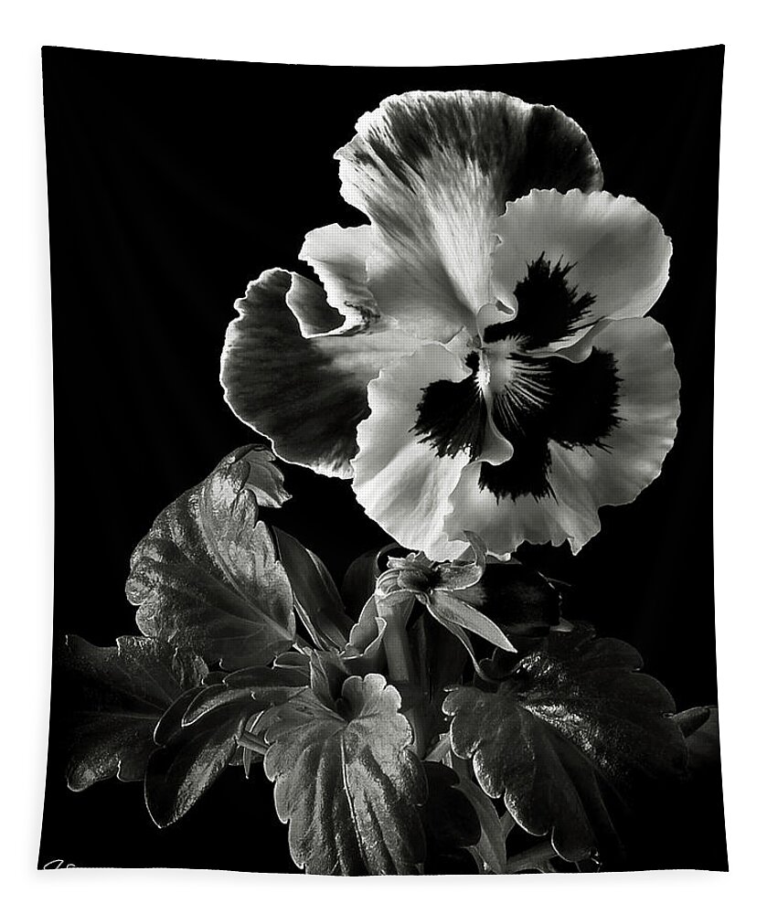 Flower Tapestry featuring the photograph Pansy in Black and White by Endre Balogh