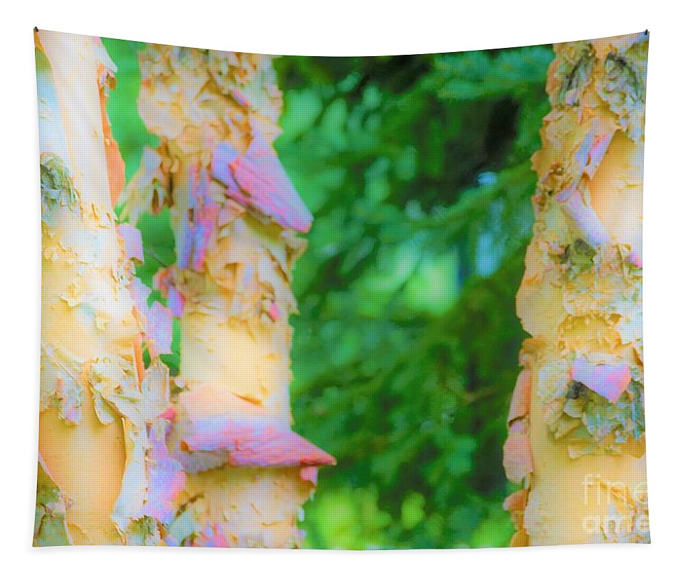 Trees Tapestry featuring the photograph Paper thin Bark by Merle Grenz
