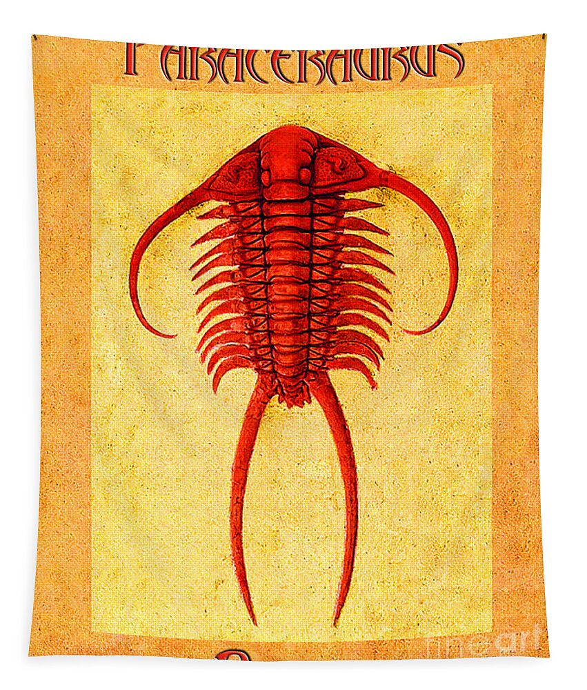 Trilobite Tapestry featuring the photograph Paraceraurus Fossil Trilobite by Melissa A Benson