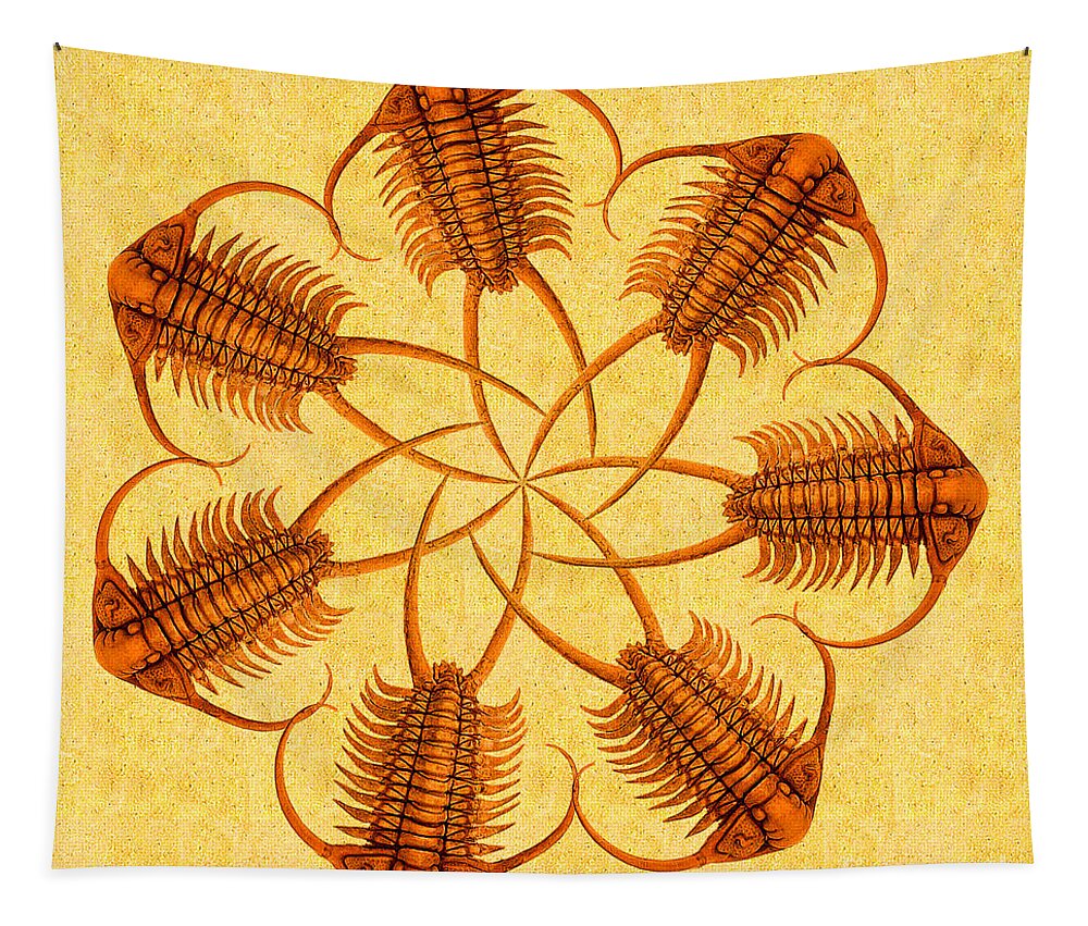 Trilobite Tapestry featuring the photograph Paraceraurus Fossil Trilobite Wheel by Melissa A Benson
