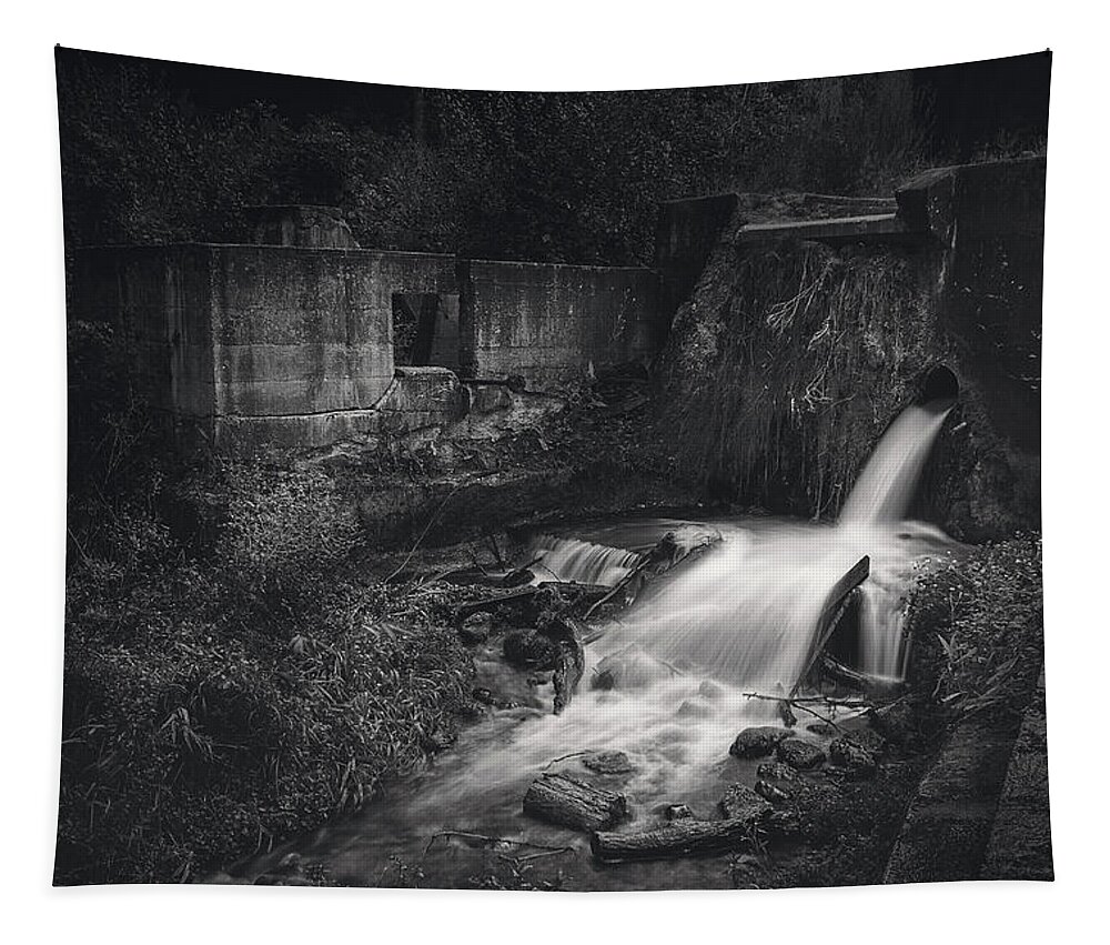 Waterfall Tapestry featuring the photograph Paradise Springs Dam and Turbine House Ruins by Scott Norris