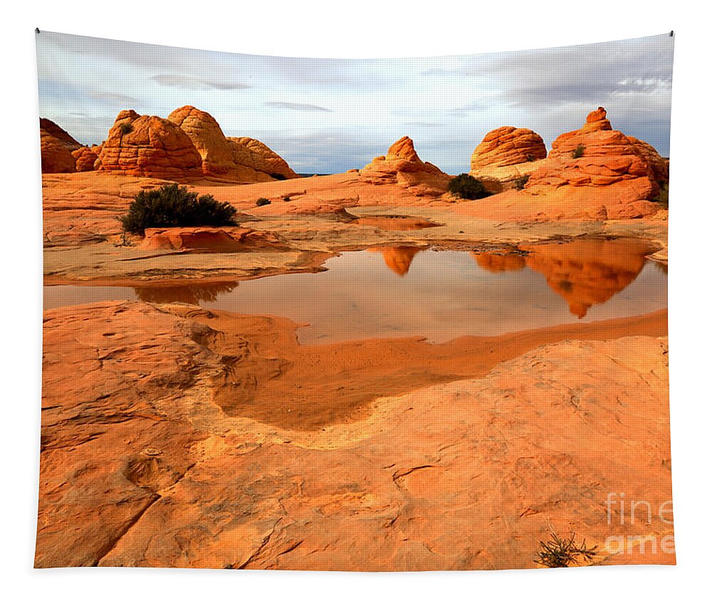 Coyote Buttes Tapestry featuring the photograph Paria Desert Reflections by Adam Jewell
