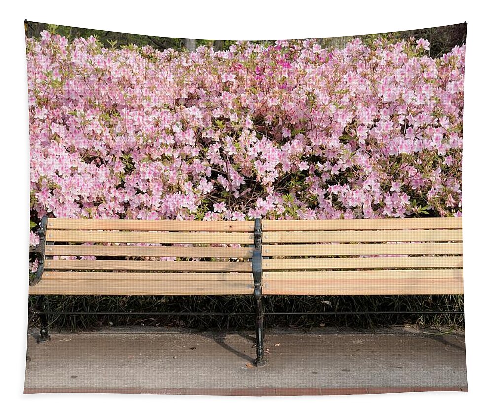 Bench Tapestry featuring the photograph Park Bench and Azaleas by Bradford Martin