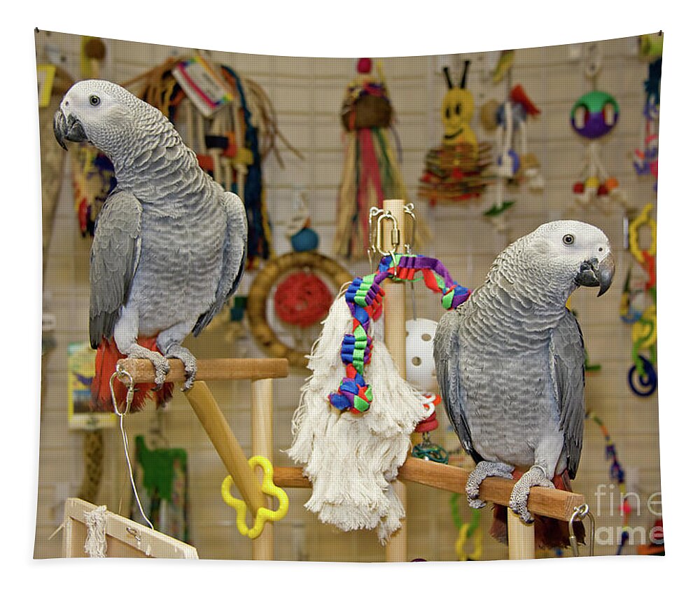 African Grey Tapestry featuring the photograph Parrots Playing by Jill Lang