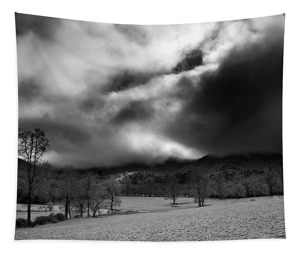 Snow Tapestry featuring the photograph Passing Snow In North Carolina in Black and White by Greg and Chrystal Mimbs