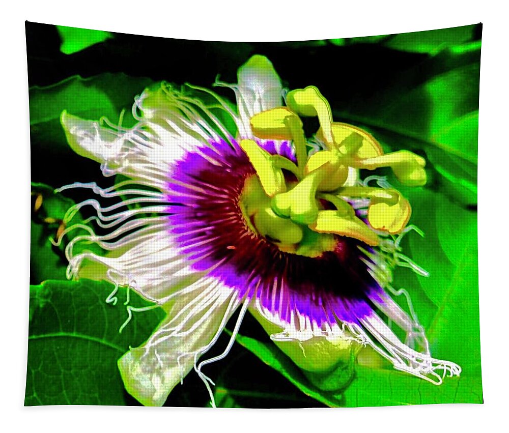 Passion Flower 3 Uplift Purple Radiating Tapestry featuring the photograph Passion Flower 3 Uplift by Joalene Young