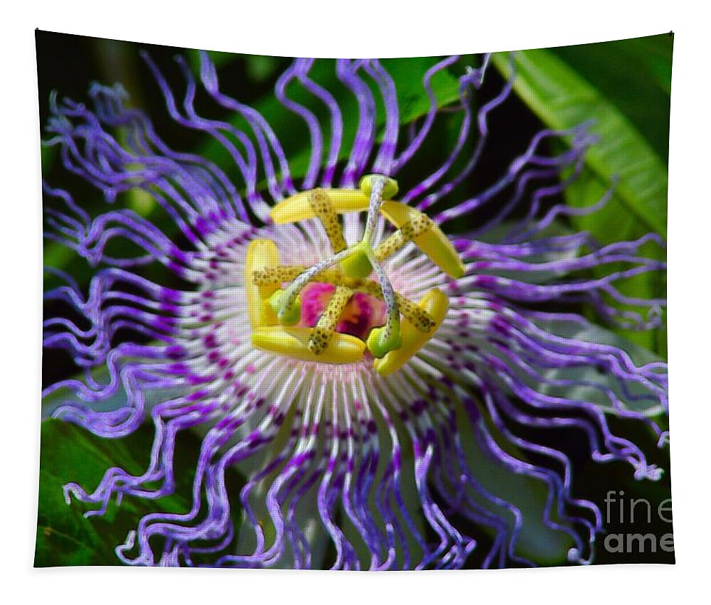 Flower Tapestry featuring the photograph Passionflower Spiritual Art by Robyn King