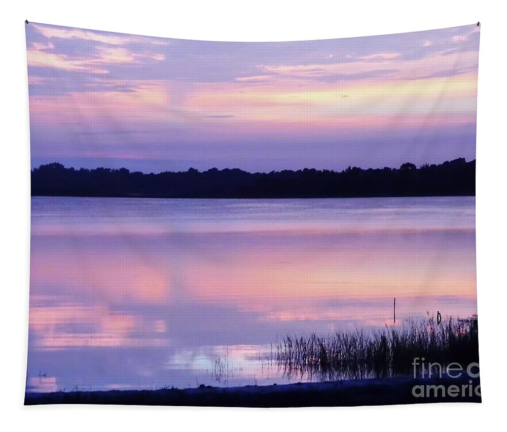 Sunrise Tapestry featuring the photograph Pastel Morning by D Hackett