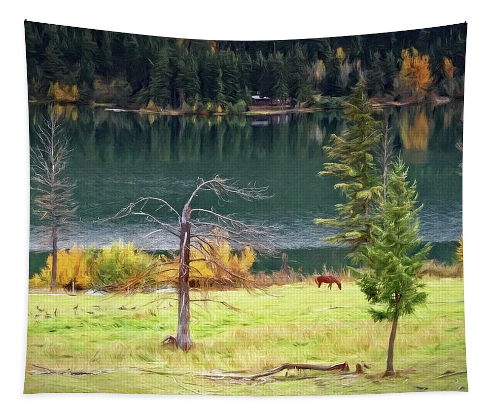 Greeting Card Tapestry featuring the photograph Pasture and Geese by Allan Van Gasbeck