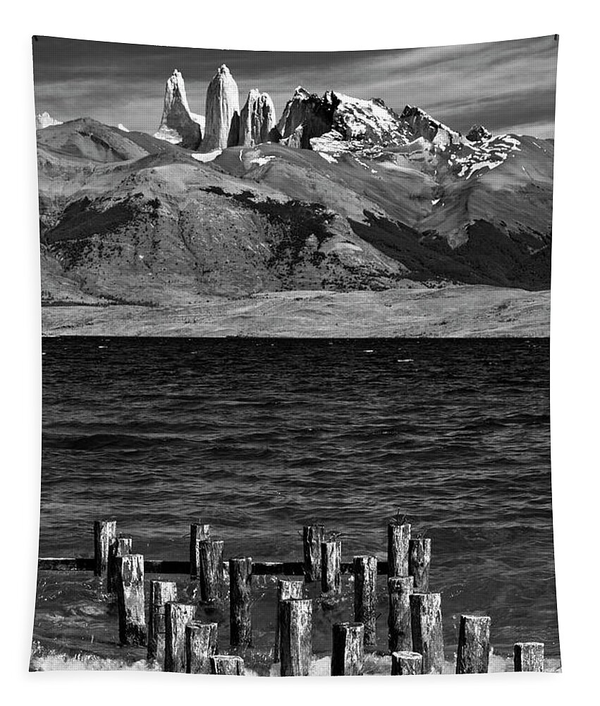  Tapestry featuring the photograph Patagonia 22 by Bernardo Galmarini