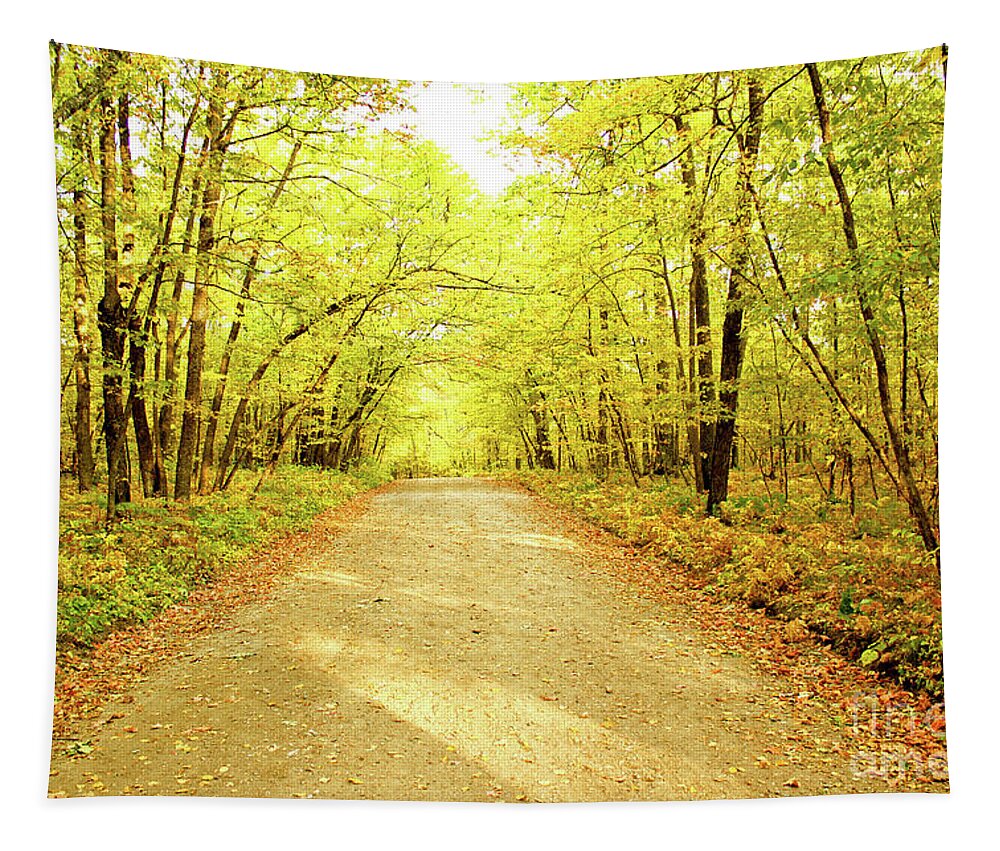 Trail Tapestry featuring the photograph Path in the Woods by Becqi Sherman