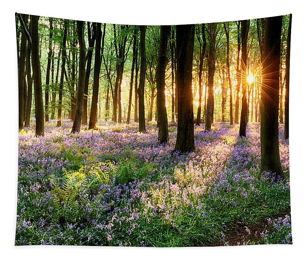 Flower Tapestry featuring the photograph English bluebell woodland path by Simon Bratt
