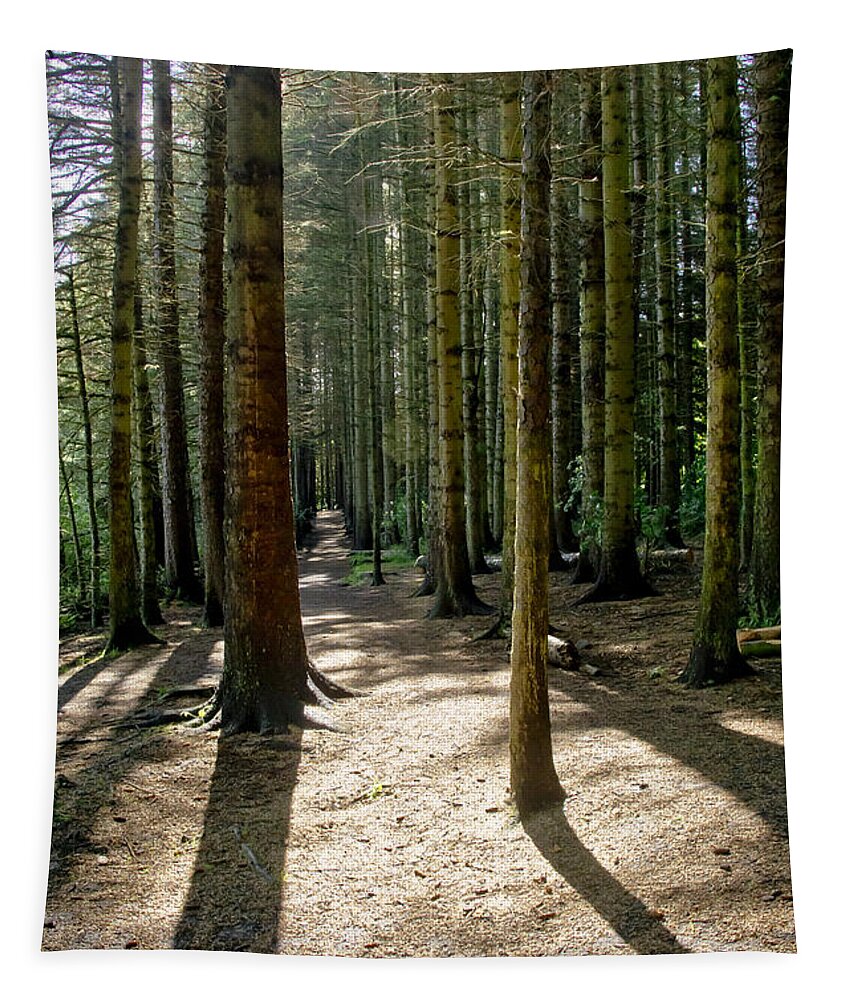 Beecraigs Tapestry featuring the photograph Path through the woods. by Elena Perelman